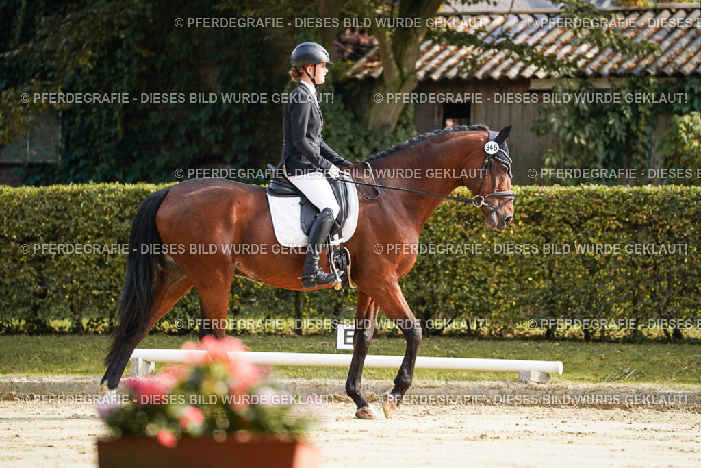 DSC05579 | Pferdegrafie