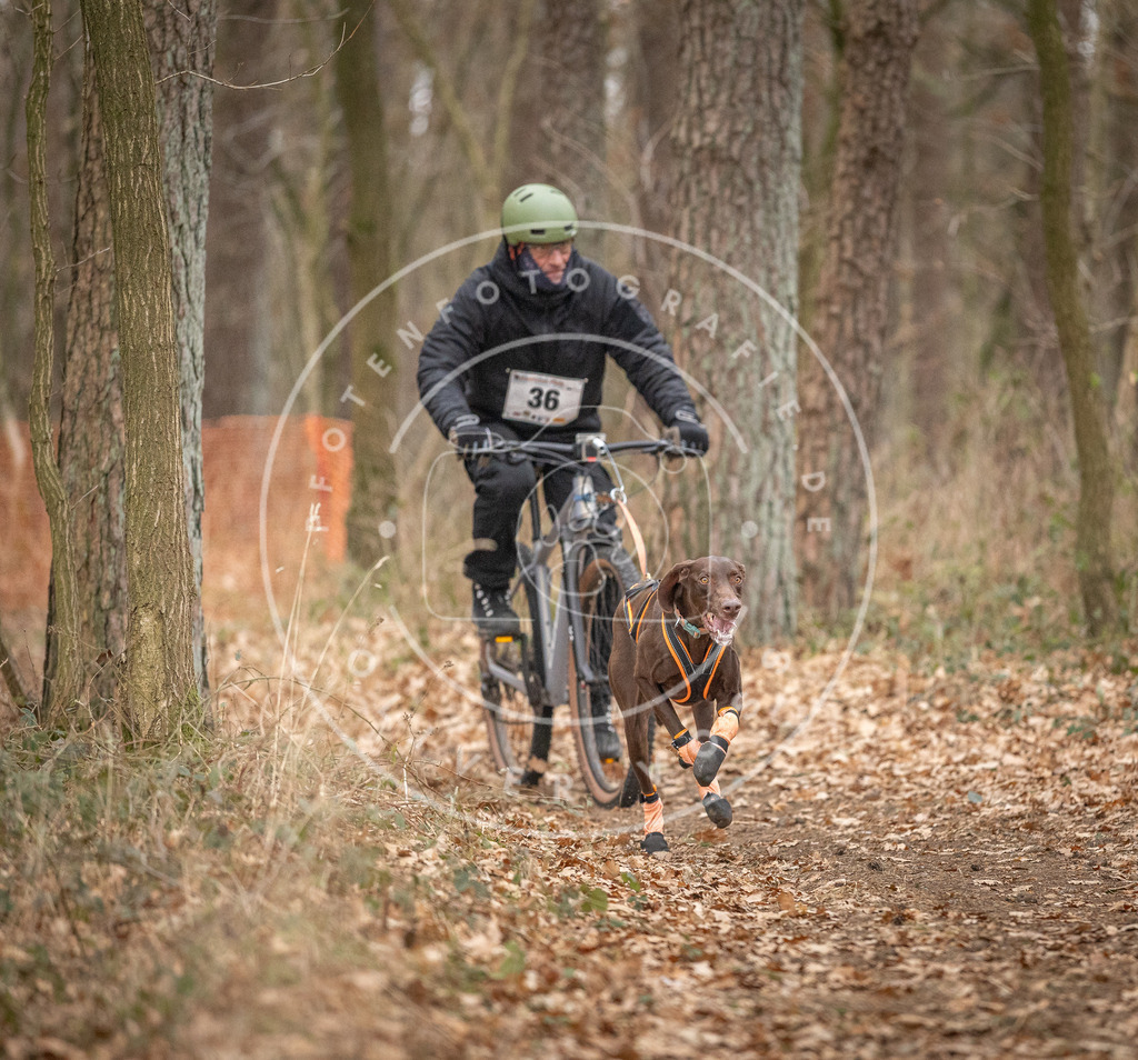 Pfotenfotografie_DV3A0014 | Hundefotografie, Tierfotograf, Pfotenfotografie, Fotoshooting Hund, Hunde Portrait, Hundesport, Hundeportraits, Heideshooting, Hunde, Sportfotograf, Hundefotograf, Turnierhundsport, THS,  - Realisiert mit Pictrs.com