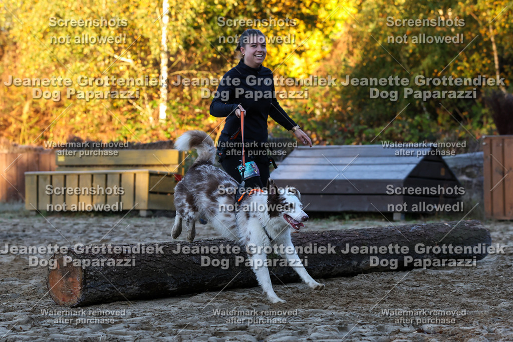 Dog Paparazzi - Strongdog 10-25-484 | Dog Paparazzi Jeanette Grottendiek Fotografie & Videografie - Realisiert mit Pictrs.com