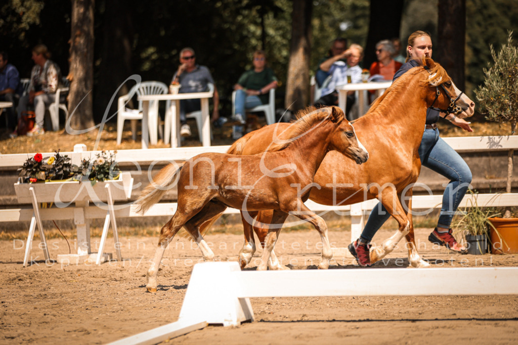 04.DoWP00010 | Leoni Ertmer Photography - Realisiert mit Pictrs.com
