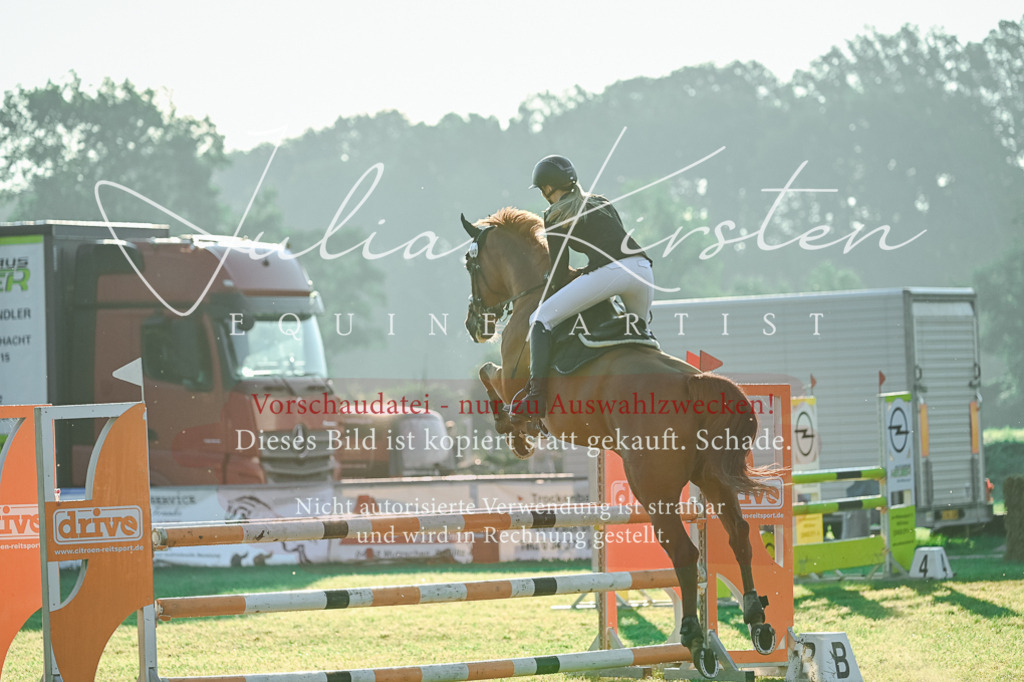 DSC_3943 | Pferde- und Turnierfotografie in Westsachsen. Pferdeportraits, Auftragszeichnungen und intuitive Kunst.