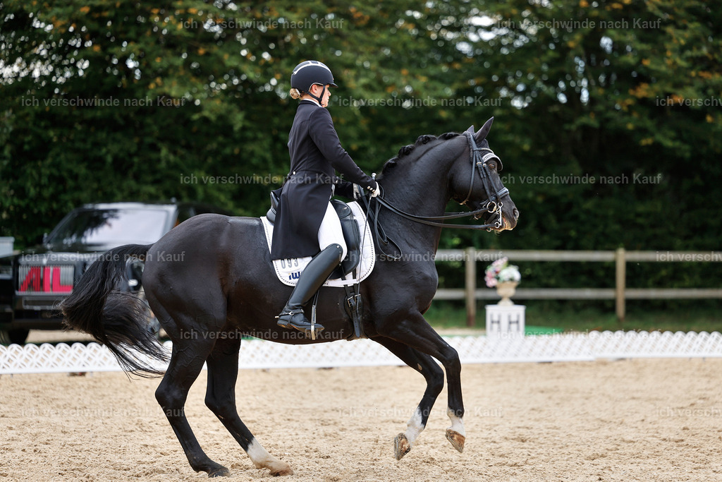 11-093-Dressur S___-StoibPH-1348 | working equitationturnier fotograf videograf stoibphotography marixx film working equitation deutschland reitsport turnierfotografie eventfotografie equestrian events
