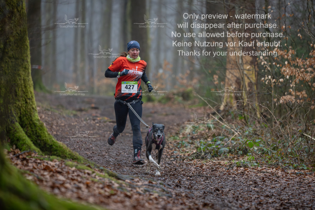 Canix_So-111 | stephaniefillaphotographie - Realisiert mit Pictrs.com