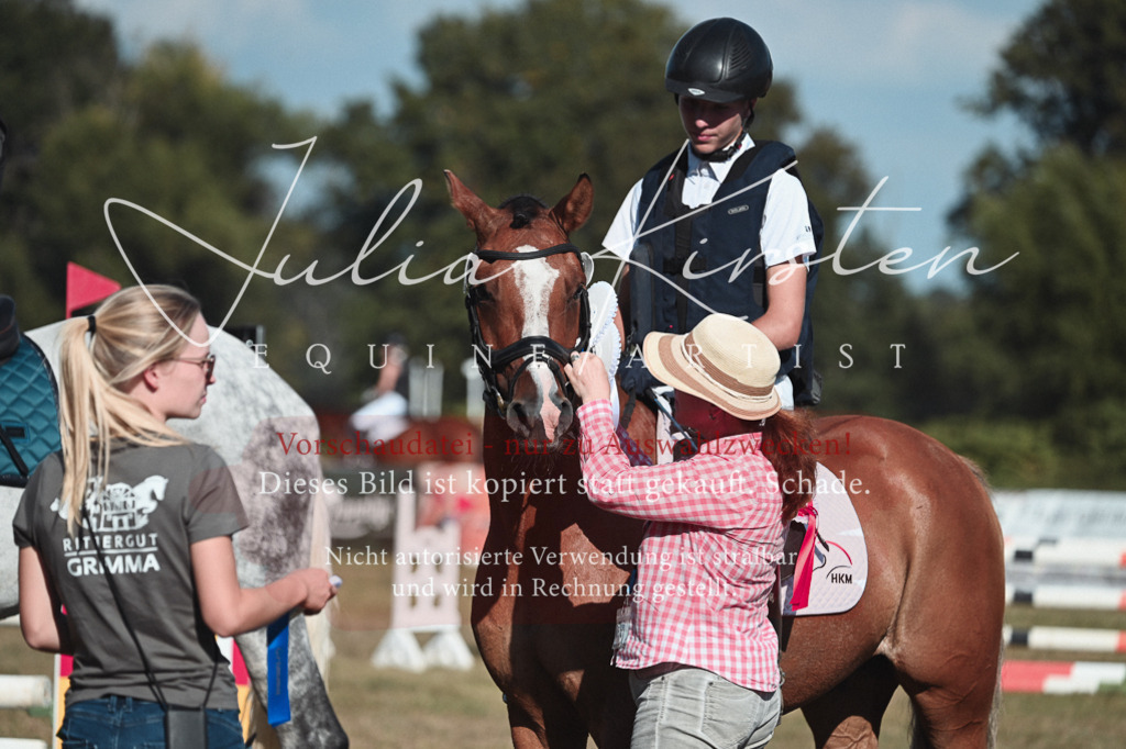 DSC_8876 | Pferde- und Turnierfotografie in Westsachsen. Pferdeportraits, Auftragszeichnungen und intuitive Kunst.