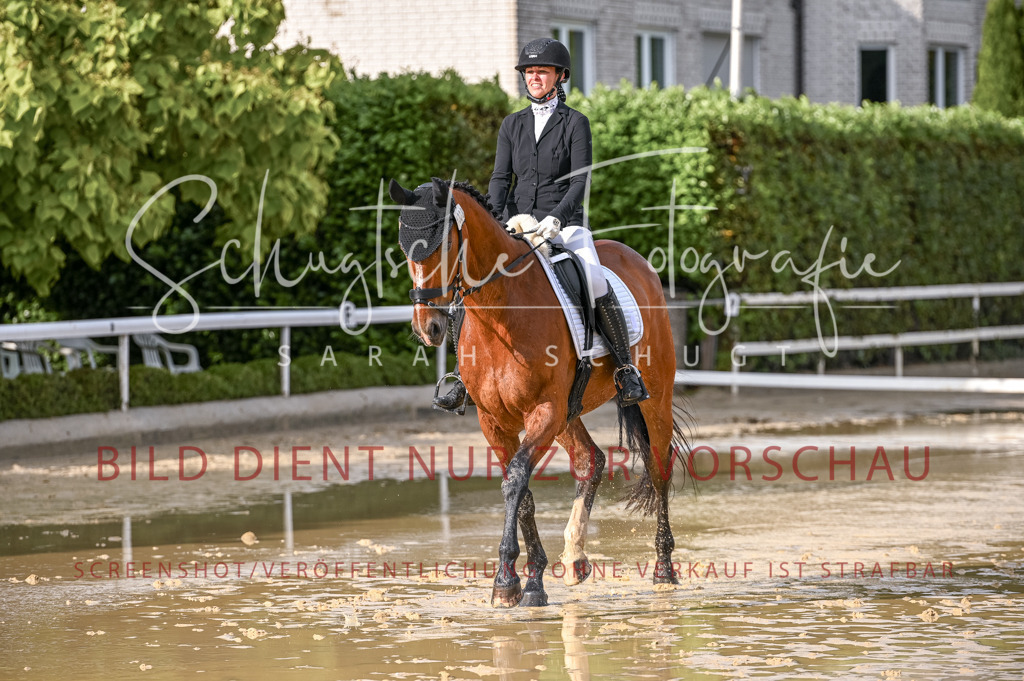 Schugtsche-Aluta25-54.Dressurprf.L1Trense-179 | Schugtsche Fotografie - Realisiert mit Pictrs.com