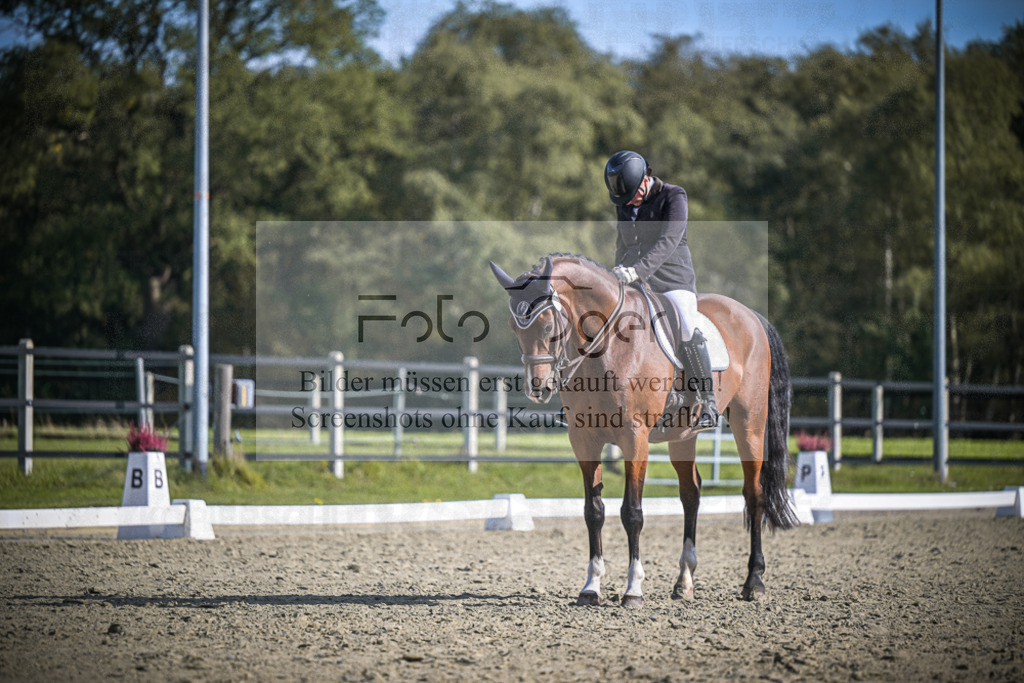 DOS_1178 | Entdecke hochwertige Reitturnierfotos von Foto Oger. Professionell, emotional und authentisch – jetzt Lieblingsmomente im Shop bestellen.Deutschlandweite Turnierfotografie. - Realisiert mit Pictrs.com