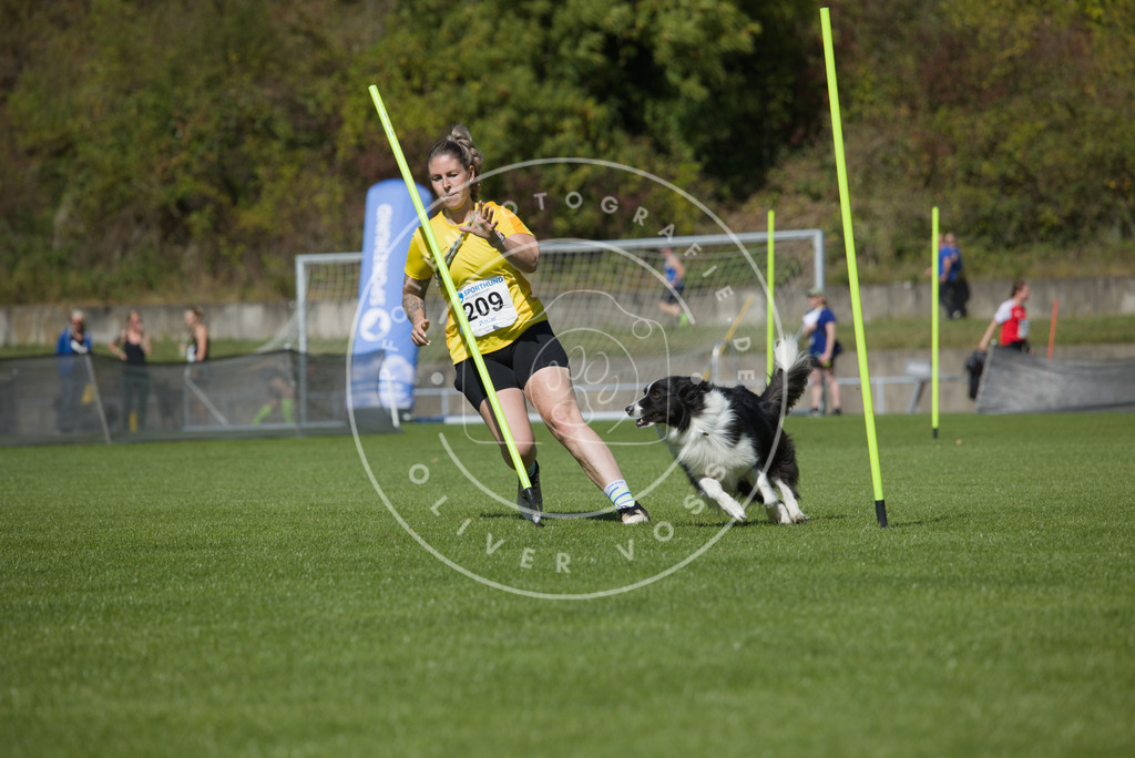 0L8A5850 | Hundefotografie, Tierfotograf, Pfotenfotografie, Fotoshooting Hund, Hunde Portrait, Hundesport, Hundeportraits, Heideshooting, Hunde, Sportfotograf, Hundefotograf, Turnierhundsport, THS,  - Realisiert mit Pictrs.com