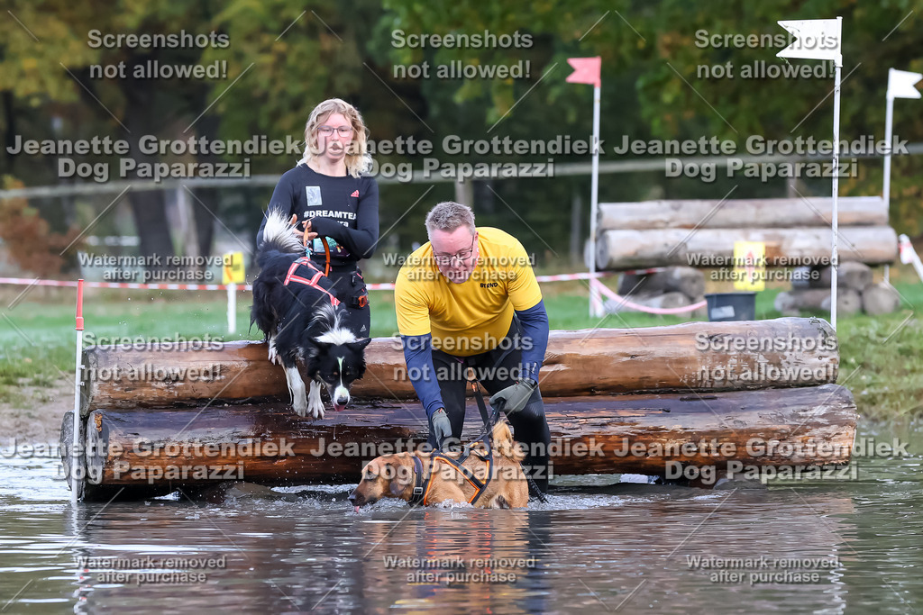 Dog Paparazzi - Strongdog 10-25-6404 | Dog Paparazzi Jeanette Grottendiek Fotografie & Videografie - Realisiert mit Pictrs.com