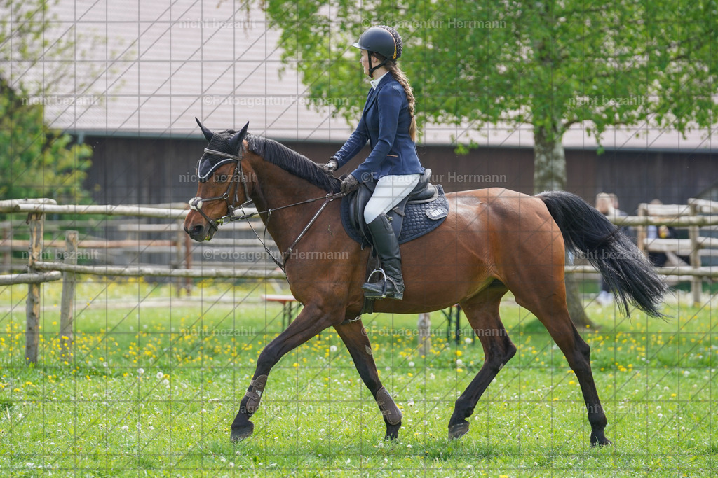 20240509-FAH02745 | Turnierbilder der Turnierfotografen Bayern, Pferdesport Fotografie, Reitsportbilder, Turnier Landberg am Lech, Turnierbilder bayern, Fotoagentur Herrmann