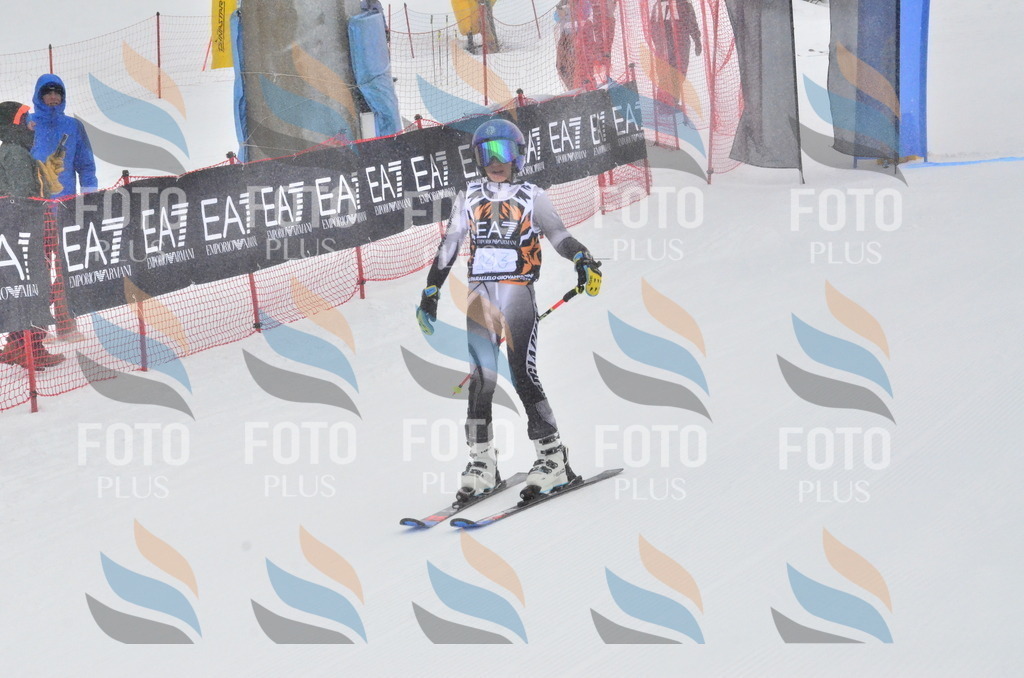 _ELE3787 | holidayphoto