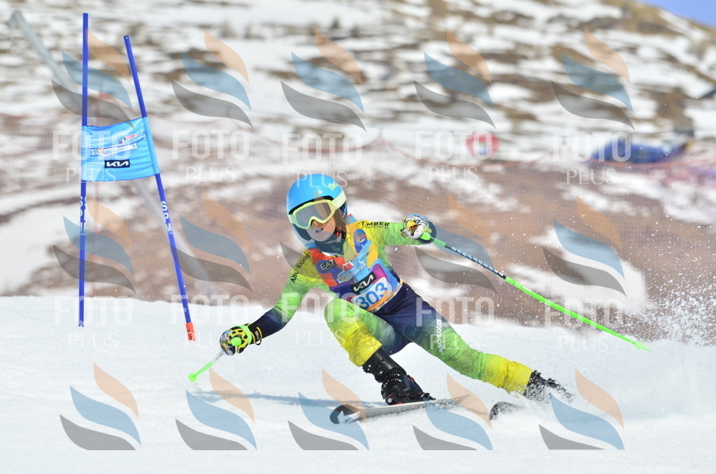 _ELE2227 | holidayphoto