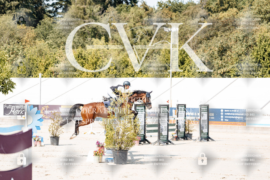 CK901237 | Turnierfotografie Pferdefotografie Trier Rheinland-Pfalz Pferdesport Reitsport Tierfotografie Sportfotografie Pferdevideo Pferdevideografie Equestrianvideography equestrianphotography  - Realisiert mit Pictrs.com