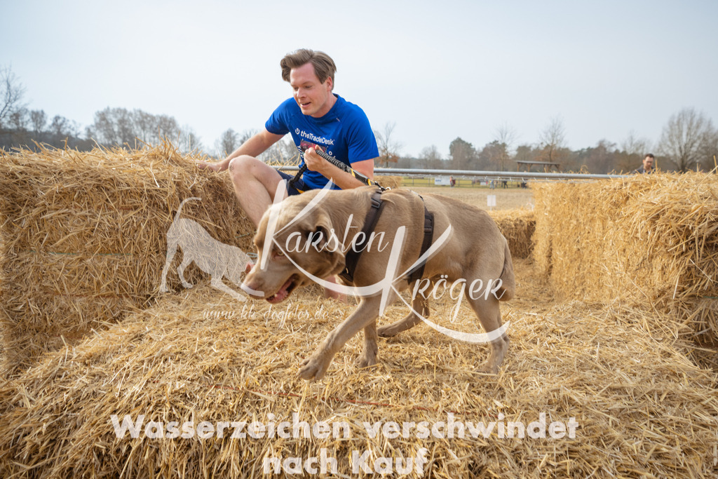 1031_ZZ96104 | kk-dogfotos