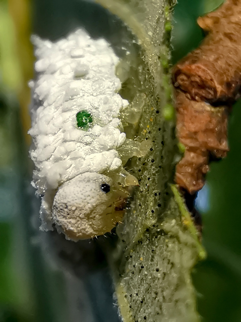 PSX_20230911_223403 | mtkfoto_ - Realisiert mit Pictrs.com