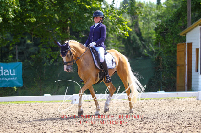 DKP42736 | Turniersportfotografie; Pferdefotografie; Dressurfotografie