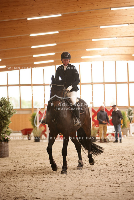 1J2A2857Lisa Charlotte Padberg_ Vinnie Pooh_ Kn488_ Hohen Wieschendorf_ Glantz | Foto- und Videografie für alles rund ums Pferd. Hochwertige Bilder und Videos vom Spring- und Dressurreiten, Voltigieren & mehr. Jetzt aktuelle Veranstaltungen und Preise im Shop ansehen. - Realisiert mit Pictrs.com