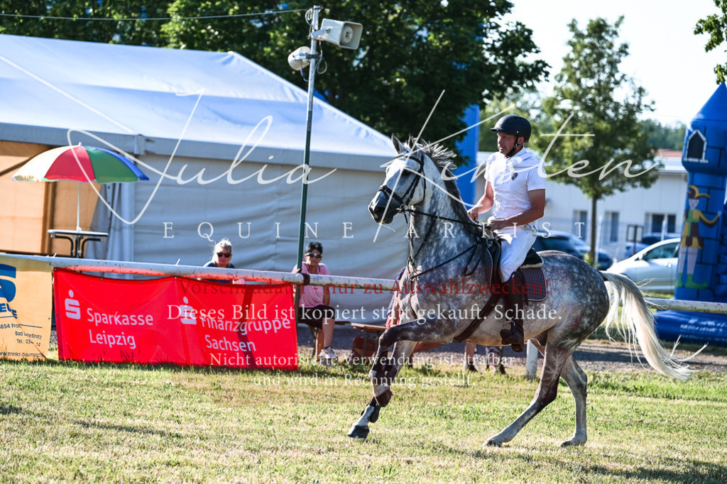 DSC_3051 | Pferde- und Turnierfotografie in Westsachsen. Pferdeportraits, Auftragszeichnungen und intuitive Kunst.