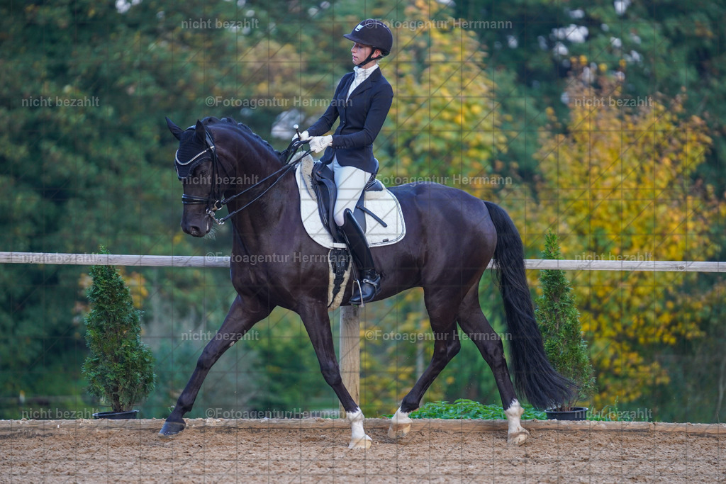 20221007-FAH00626 | Diessen am Ammersee, 2022, Dressur- und Springturnier, Reitsportbilder, Turnierfotografen Bayern, Pferdefotografen, Fotoagentur Herrmann, Turnierbilder