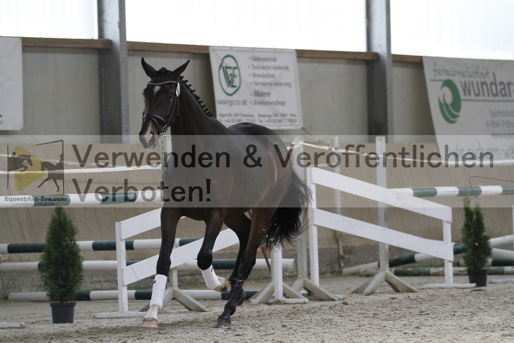 _MG_9843 | equestrian-live-com