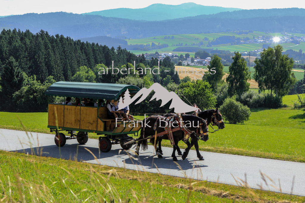 OE7A9712 | Medien- Sport- Entertainmentfotos