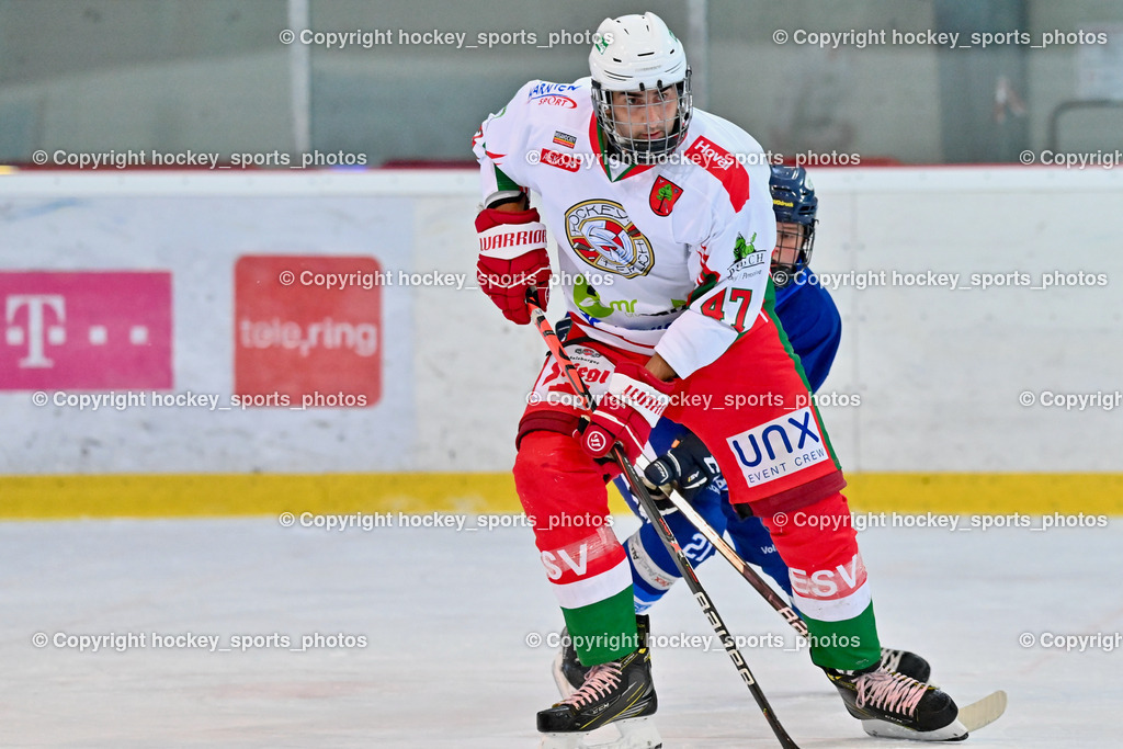 BST_9386 | hockey sports photos, Pressefotos, Sportfotos, hockey247, win 2day icehockeyleague, Handball Austria, Floorball Austria, ÖVV, Kärntner Eishockeyverband, KEHV, KFV, Kärntner Fussballverband, Österreichischer Volleyballverband, Alps Hockey League, ÖFB, 