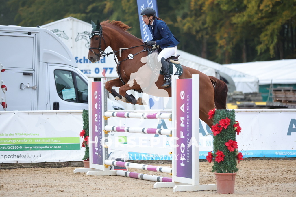 0P6A5426 | Willkommen bei Brunnmayr - Design & Fotografie – Ihrem Spezialisten für Reitturniere und Pferdeveranstaltungen in Oberösterreich, Salzburg und Bayern! Seit über 17 Jahren sind wir leidenschaftlich dabei.