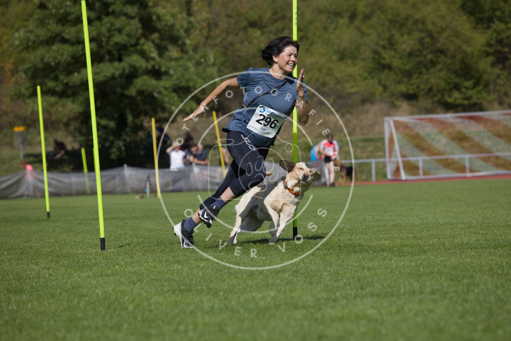 0L8A7113 | Hundefotografie, Tierfotograf, Pfotenfotografie, Fotoshooting Hund, Hunde Portrait, Hundesport, Hundeportraits, Heideshooting, Hunde, Sportfotograf, Hundefotograf, Turnierhundsport, THS,  - Realisiert mit Pictrs.com