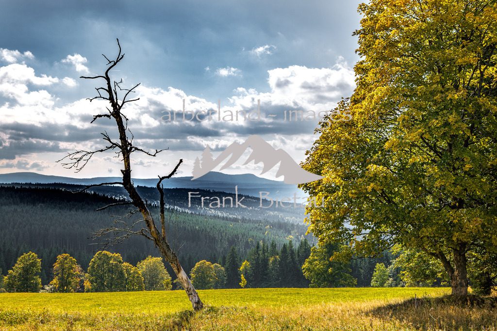 _Z5A1498 | aus dem Böhmerwald geht der Blick hinüber zum Rachel