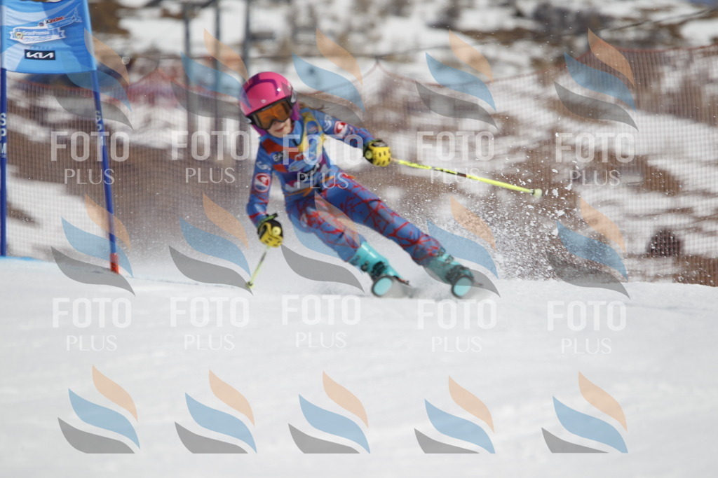 _U3G9916 | holidayphoto