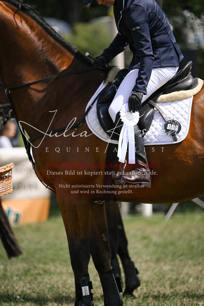DSC_9179 | Pferde- und Turnierfotografie in Westsachsen. Pferdeportraits, Auftragszeichnungen und intuitive Kunst.