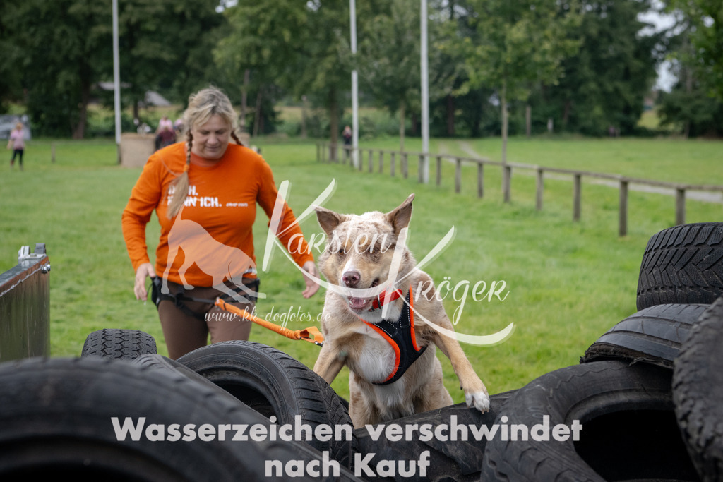 1300_ZZ92871 | kk-dogfotos