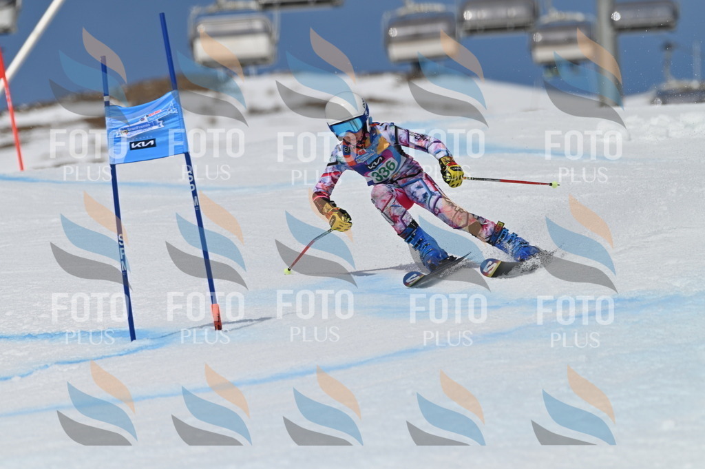 BGV_6648 | holidayphoto