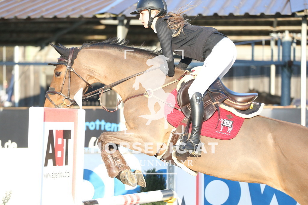 AS8V2428 | Willkommen bei Brunnmayr - Design & Fotografie – Ihrem Spezialisten für Reitturniere und Pferdeveranstaltungen in Oberösterreich, Salzburg und Bayern! Seit über 17 Jahren sind wir leidenschaftlich dabei.