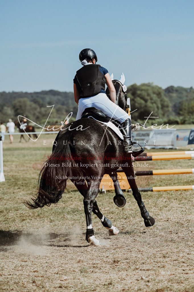 DSC_9847 | Pferde- und Turnierfotografie in Westsachsen. Pferdeportraits, Auftragszeichnungen und intuitive Kunst.
