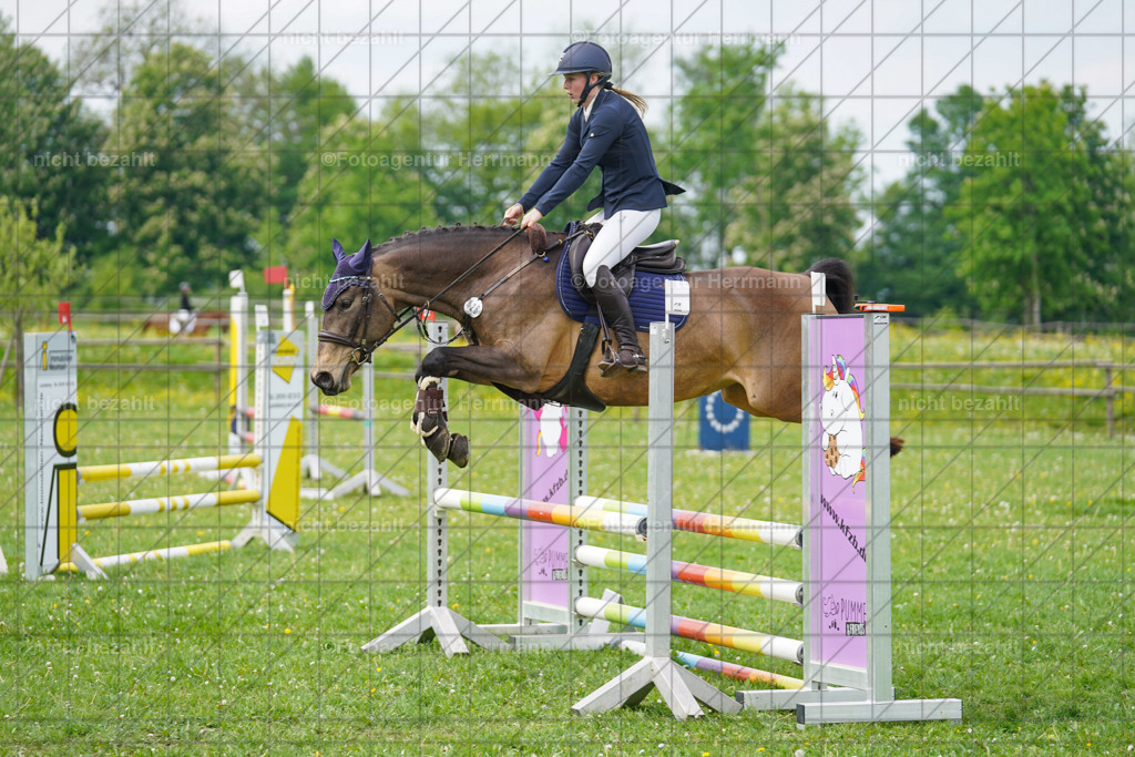 20240509-FAH02693 | Turnierbilder der Turnierfotografen Bayern, Pferdesport Fotografie, Reitsportbilder, Turnier Landberg am Lech, Turnierbilder bayern, Fotoagentur Herrmann