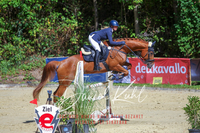 DKP43171 | Turniersportfotografie; Pferdefotografie; Dressurfotografie