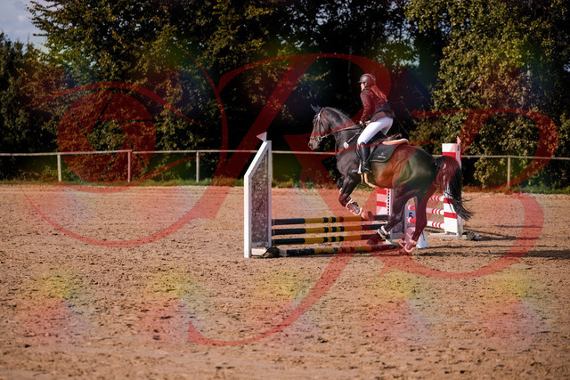 2026_10_03_Siefer-Hof_154245_Z81_60390105 | Professionelle Reitsport-, Turnier- und Eventfotografie von Robert Broda. Galerien mit ausgewählten und bearbeiteten Bildern direkt online ansehen und bestellen.