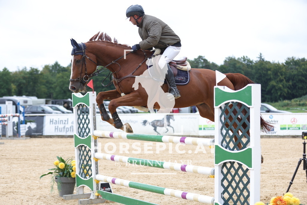 0P6A7826 | Willkommen bei Brunnmayr - Design & Fotografie – Ihrem Spezialisten für Reitturniere und Pferdeveranstaltungen in Oberösterreich, Salzburg und Bayern! Seit über 17 Jahren sind wir leidenschaftlich dabei.