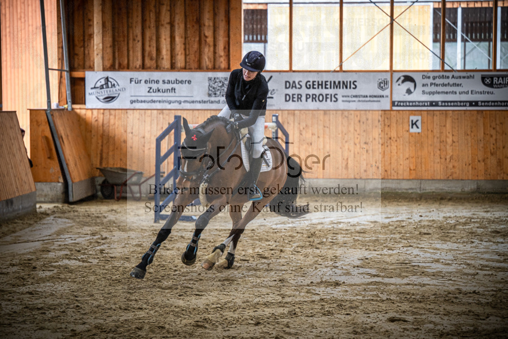 DOS_0651 | Entdecke hochwertige Reitturnierfotos von Foto Oger. Professionell, emotional und authentisch – jetzt Lieblingsmomente im Shop bestellen.Deutschlandweite Turnierfotografie. - Realisiert mit Pictrs.com