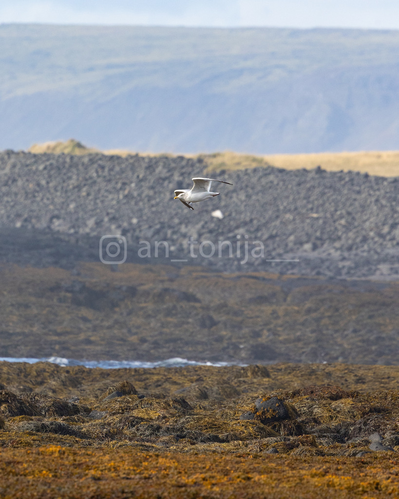 JB3A3068 | antonija-trupina - Realisiert mit Pictrs.com