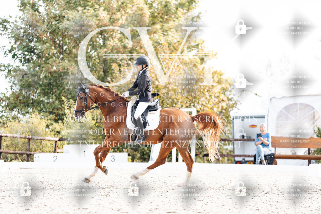 CK901364 | Turnierfotografie Pferdefotografie Trier Rheinland-Pfalz Pferdesport Reitsport Tierfotografie Sportfotografie Pferdevideo Pferdevideografie Equestrianvideography equestrianphotography  - Realisiert mit Pictrs.com