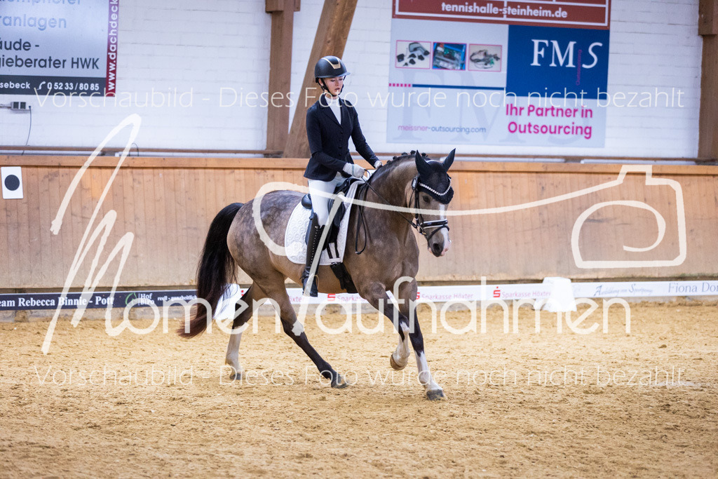 Sth-A-Dre-2St-015 | MomenTaufnahmen Pferdesportfotos