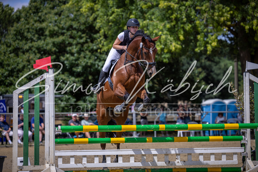 20260704-_3LI0092 | Tierfotografie Pferde, Hunde, Katzen, Haustiere.
Turnierfotografie Reitturniere, Reiten, Springreiten, Dressur in Hanau, dem Main-Kinzig-Kreis und dem Rhein-Main- Gebiet um Frankfurt