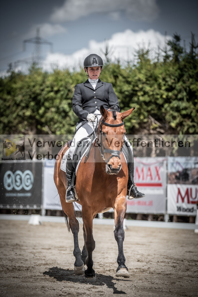 DSC_2360 | equestrian-live-com
