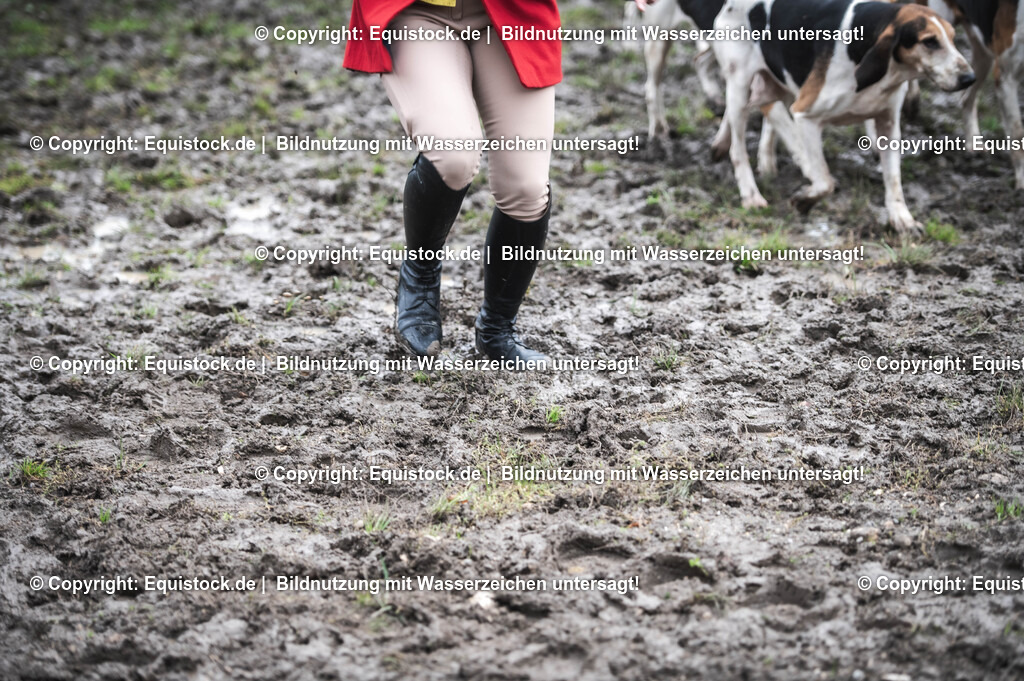 20241013_Jagd-Marbach_0530 | Foto: Thomas Hartig