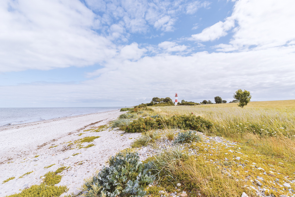 Wandbild: Wilde Küste Falshöft - Naturlandschaft an der Ostsee | Dieses lichtdurchflutete Wandbild fängt die ursprüngliche Schönheit der Ostseeküste in beeindruckender Weite ein. Die charakteristische Küstenvegetation im Vordergrund geht fließend in den naturbelassenen Strand über, während der rot-weiße Leuchtturm Falshöft in der Ferne als dezenter Blickfang dient. Unter einem weichen Wolkenhimmel strahlt die Fotokunst Frische, Ruhe und unberührte Naturästhetik aus – perfekt für stilvolle Räume, die eine natürliche und weitläufige Atmosphäre schätzen.