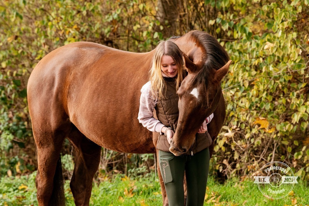 Lieblingsbilder_Photoboo_71 | Pferde- und Hundefotografie in Köln und Umgebung von Vanessza Csuka - Realisiert mit Pictrs.com