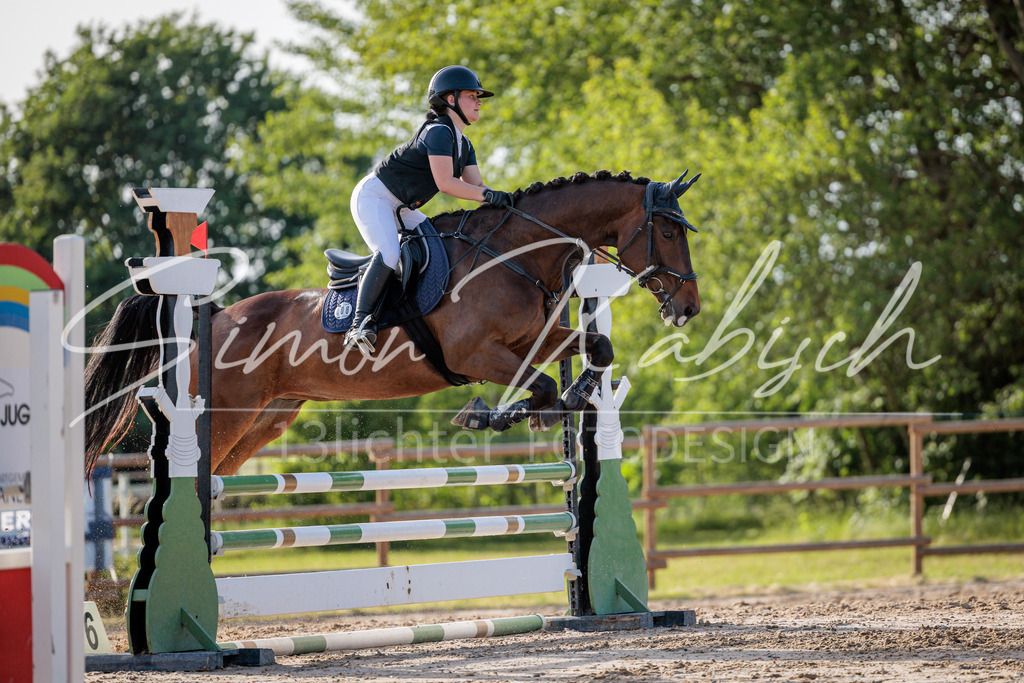 20260529-_3LI0837 | Tierfotografie Pferde, Hunde, Katzen, Haustiere.
Turnierfotografie Reitturniere, Reiten, Springreiten, Dressur in Hanau, dem Main-Kinzig-Kreis und dem Rhein-Main- Gebiet um Frankfurt