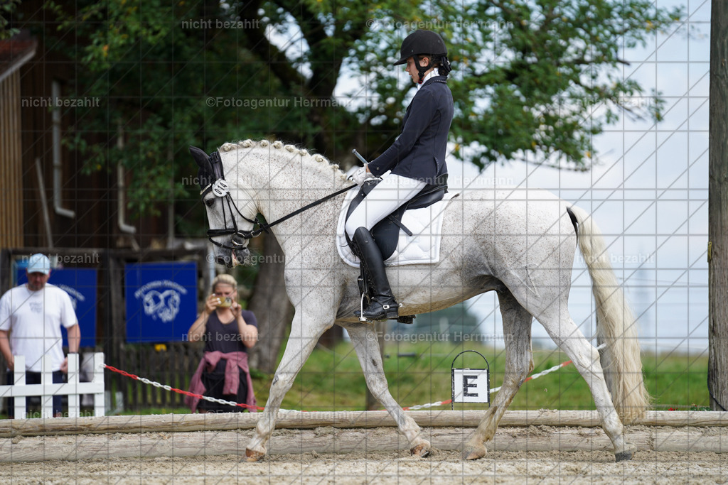 20230826-FAH05329 | Forstinning, 2023, Dressurturnier, Turniersportbilder, Turnierfotografen Bayern, Fotoagentur Herrmann, Reitsportfotografie, Turnierbilder