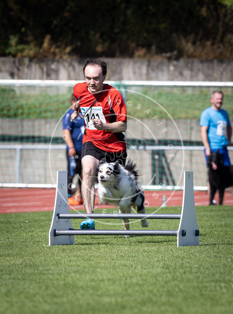 Pfotenfotografie_DV3A9106 | Hundefotografie, Tierfotograf, Pfotenfotografie, Fotoshooting Hund, Hunde Portrait, Hundesport, Hundeportraits, Heideshooting, Hunde, Sportfotograf, Hundefotograf, Turnierhundsport, THS,  - Realisiert mit Pictrs.com
